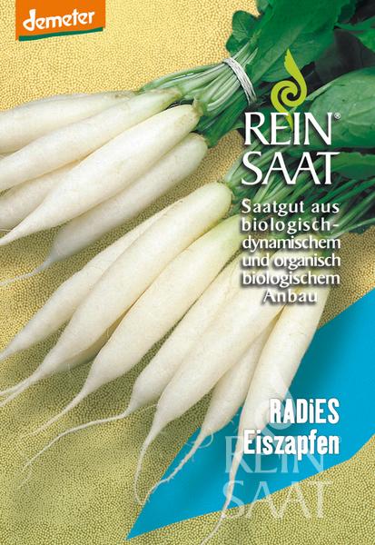 saatgut radieschen Bio-Saatgut Radieschen 'Eiszapfen'