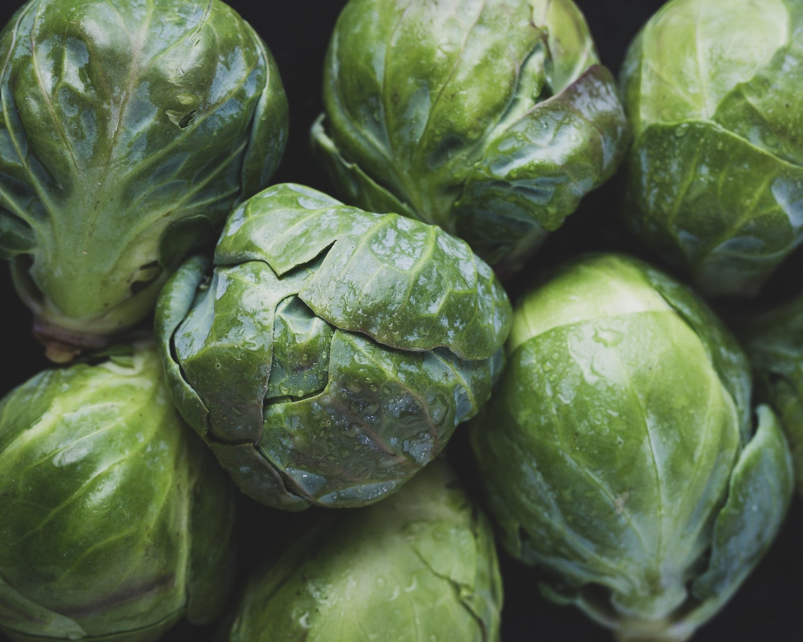 Kohlsprossen - Anbau, Pflege, Ernte