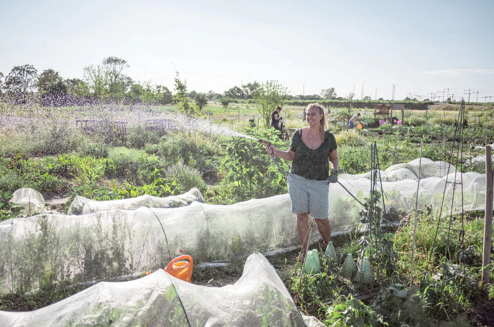 KULTURSCHUTZNETZE IM GEMÜSEANBAU - DIE STILLEN HELDEN IN DEINEM BEET