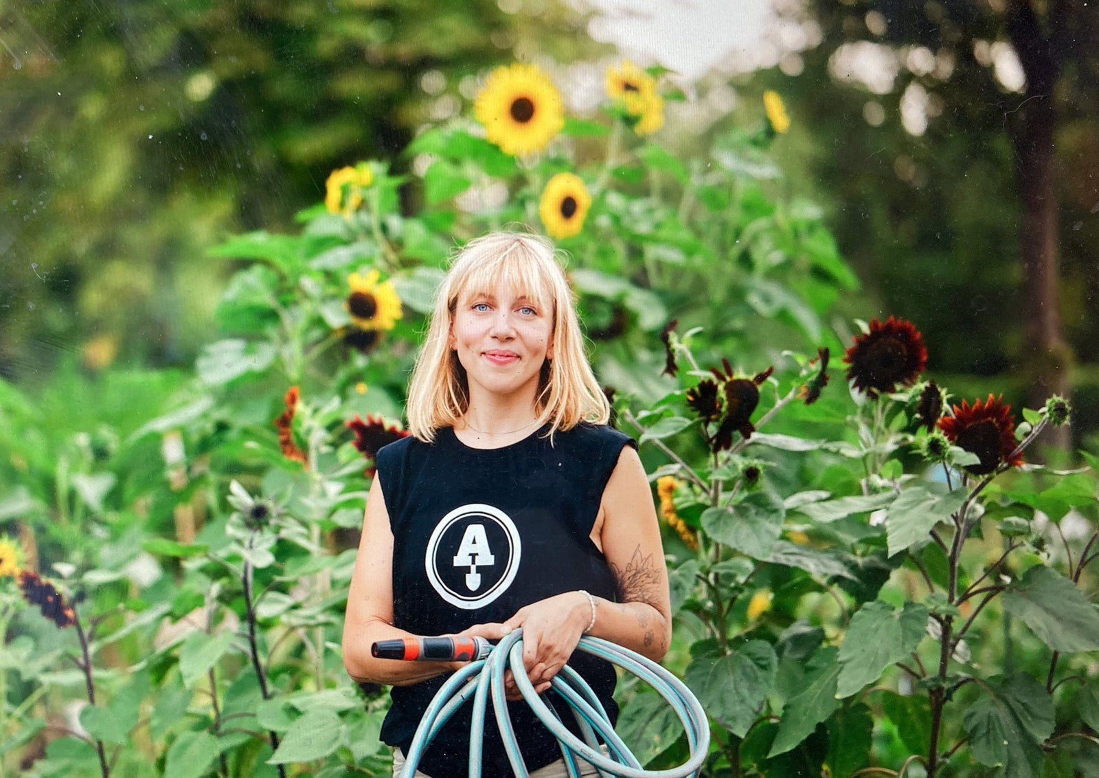 🌻 Sonnenblumen im Gemüsegarten – Freude, Nutzen und ein bisschen Achtsamkeit