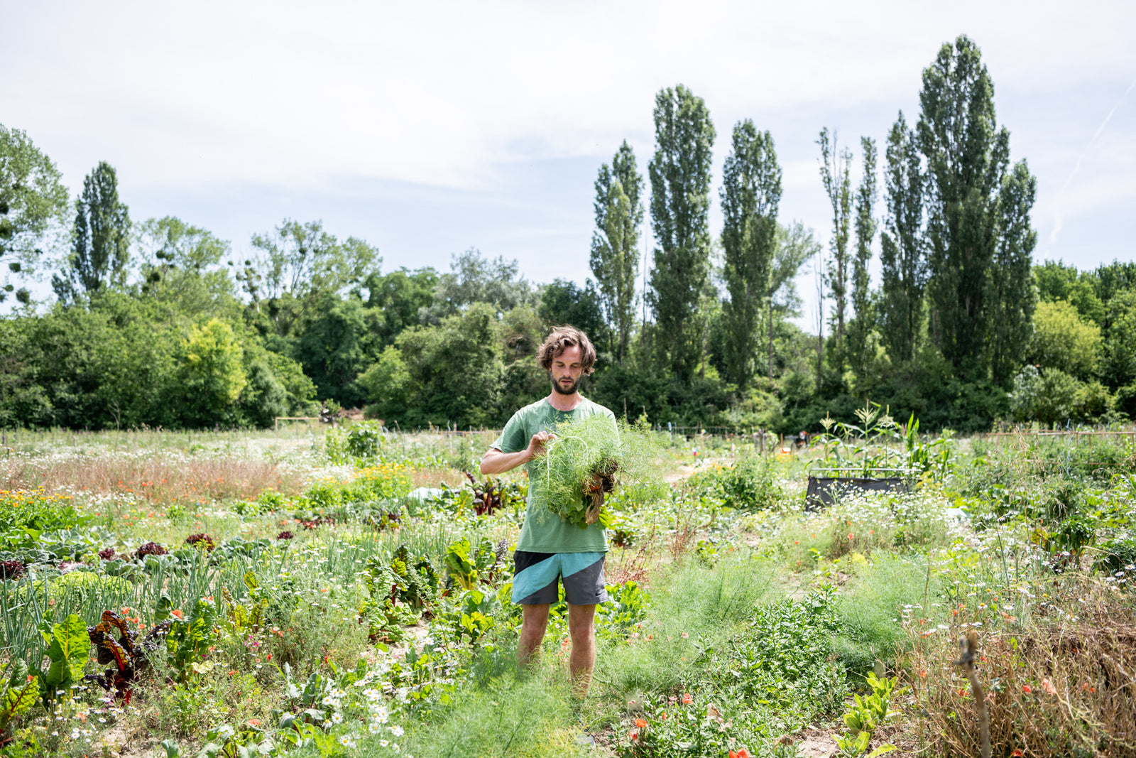Was heißt es, biologisch zu gärtnern?