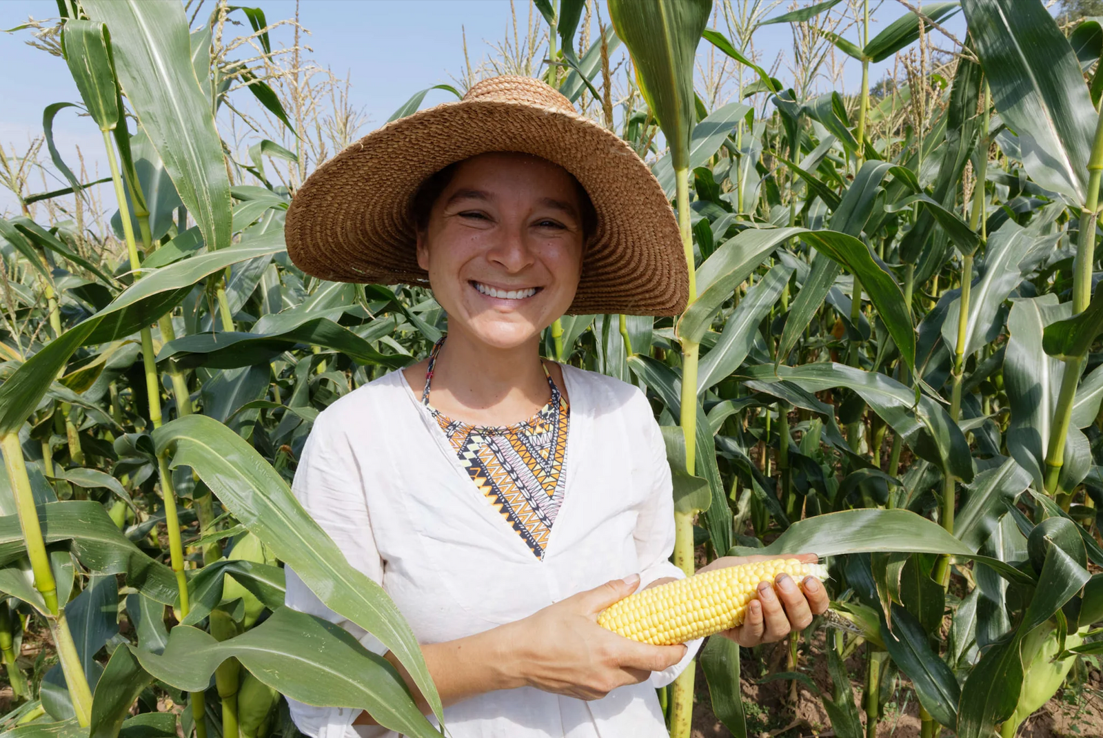 Starte mit uns gemeinsam in die Gartensaison - Online-Garten-Workshops