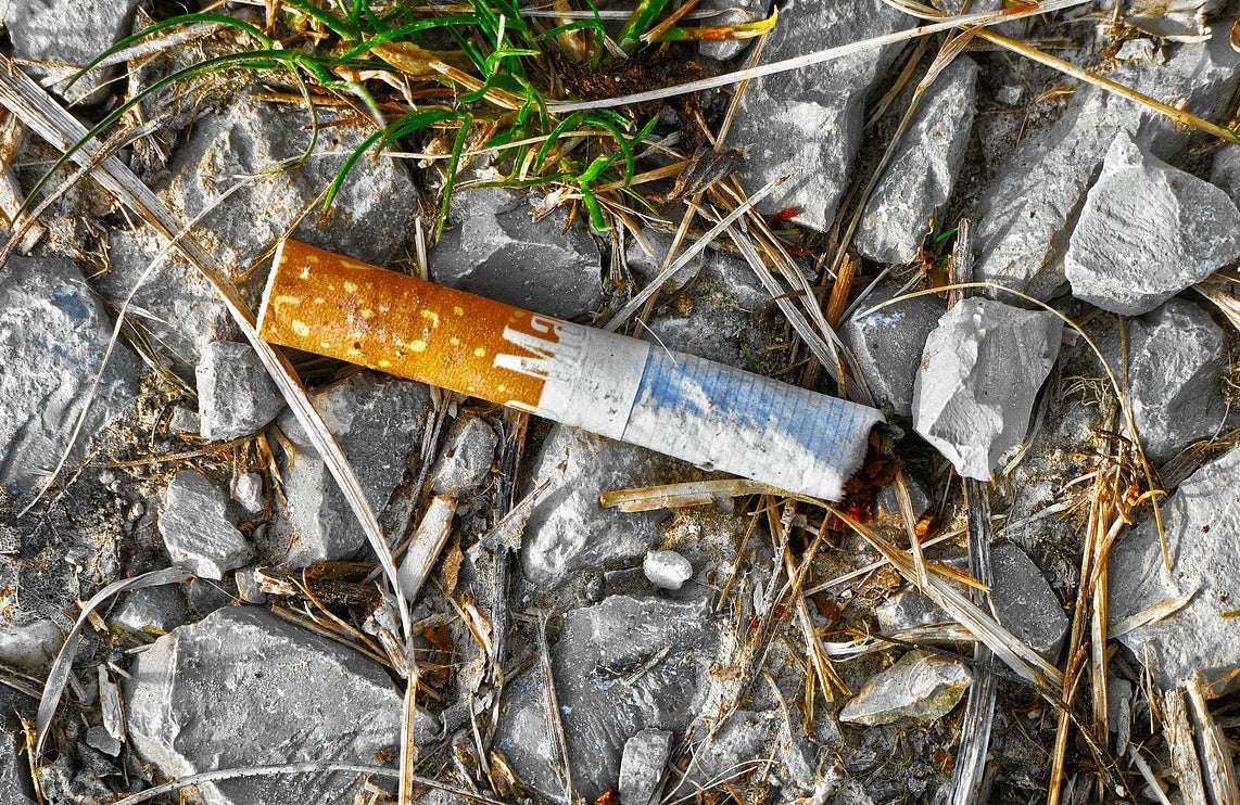 Zigarettenstummel im Garten? – Warum sie nichts in der Natur verloren haben