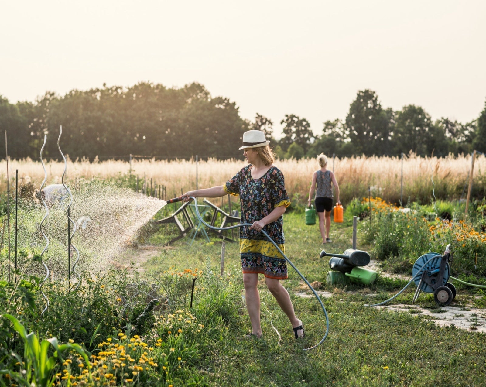 Richtig gießen im Sommer – so bleiben Deine Pflanzen auch bei Hitze gesund