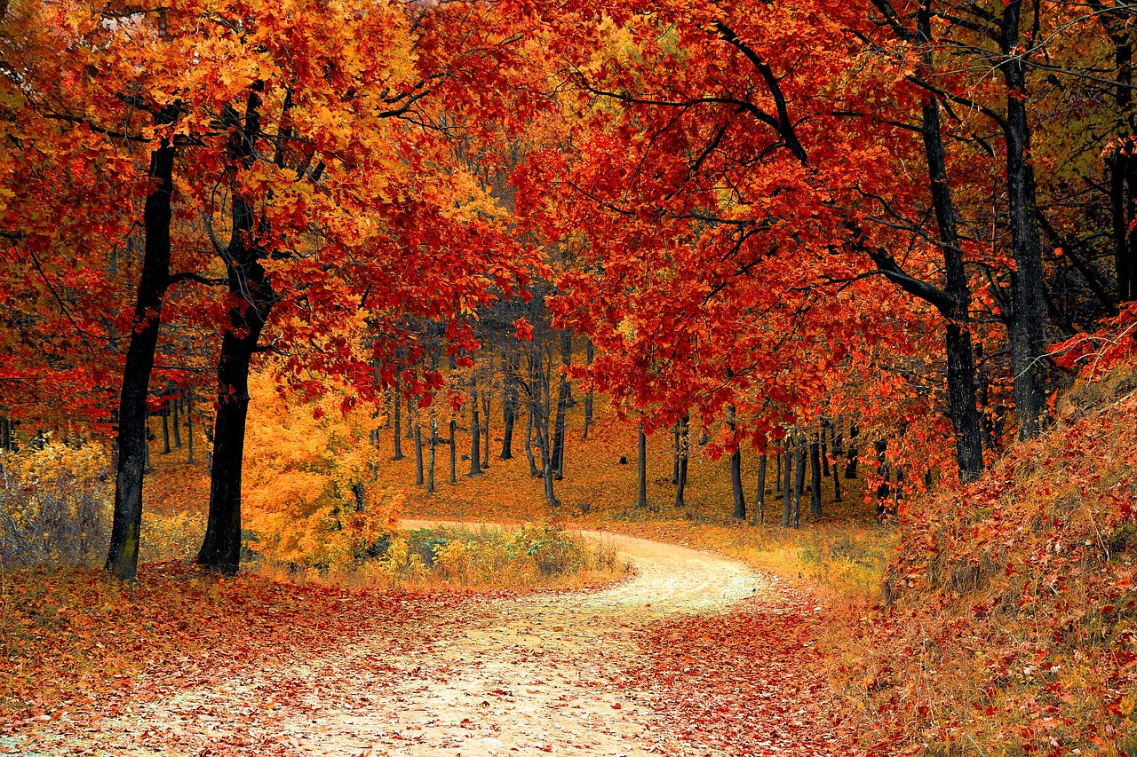 Vollherbst - Mitte September bis Mitte Oktober