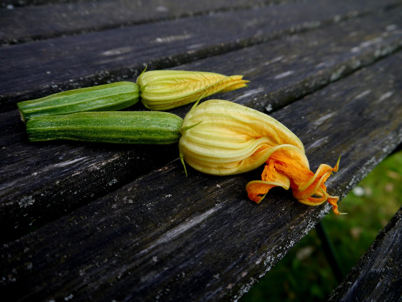 Ackerhelden-Rezepte: Zucchiniauflauf