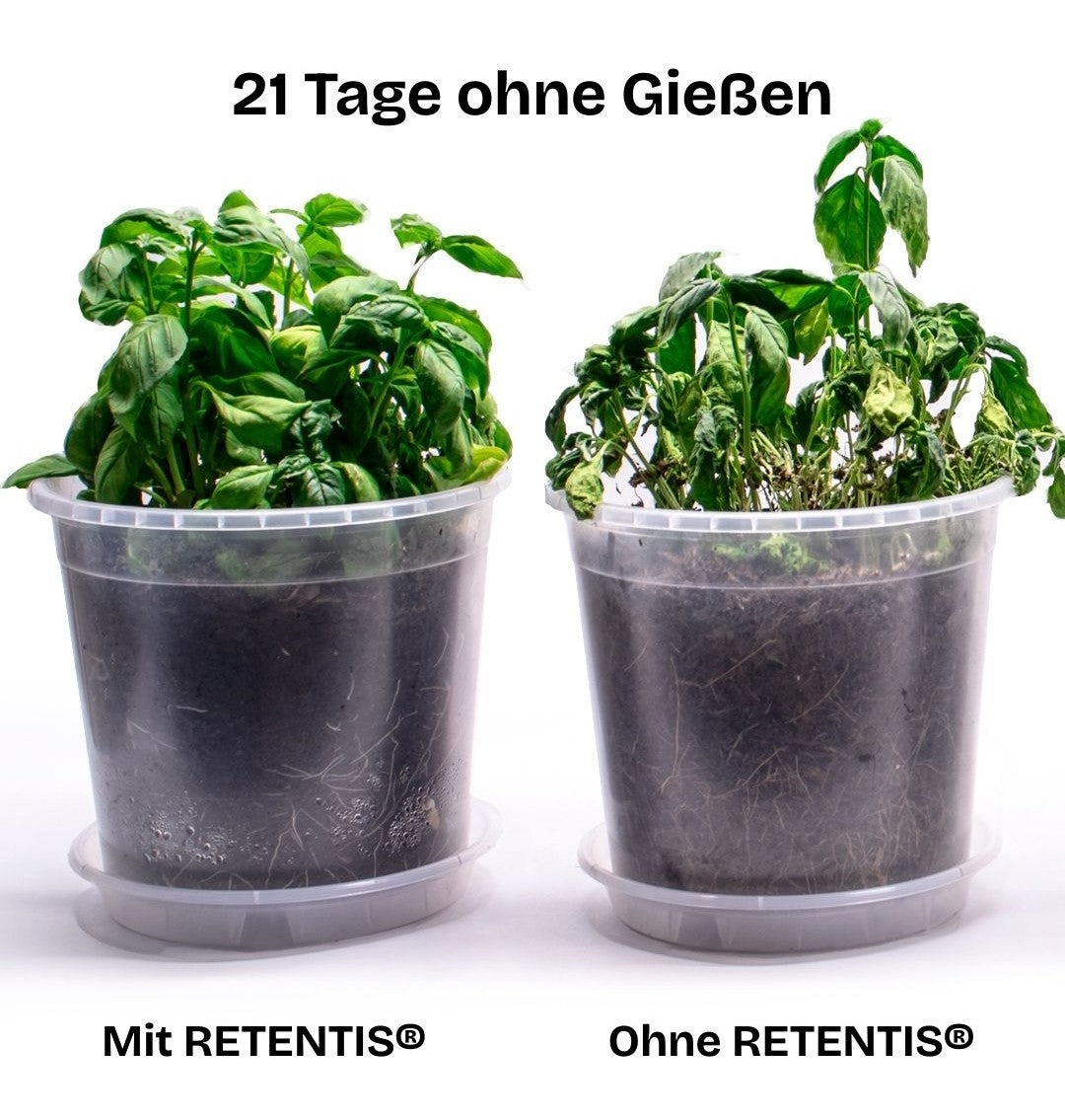 RETENTIS® Wasser- und Nährstoffspeichergranulat 750g - Begleitet Dich und Deine Pflanzen zuverlässig durch trockene Zeiten 💧🌱