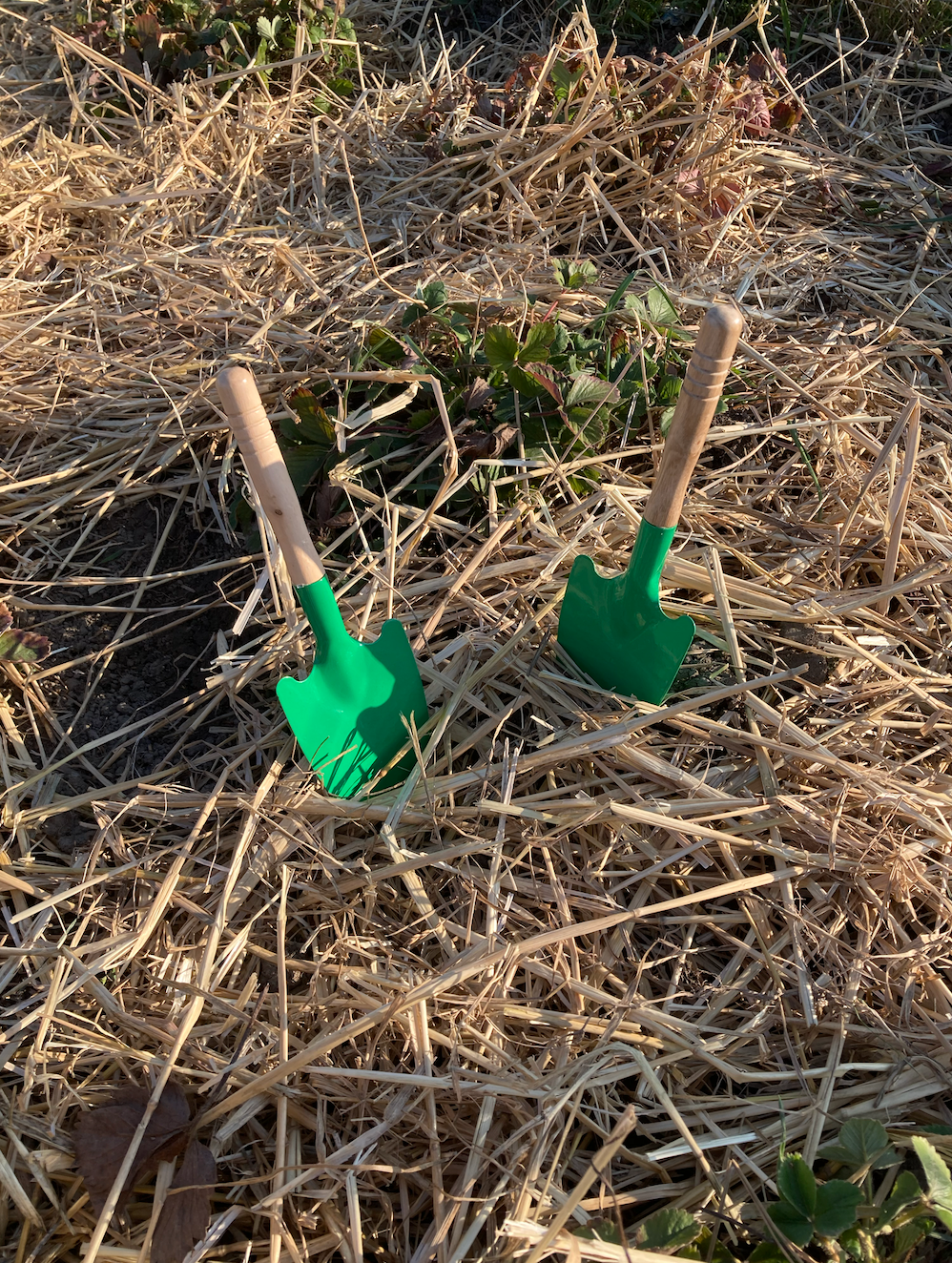 Kleine Schaufel für große Gartenabenteuer 🌱