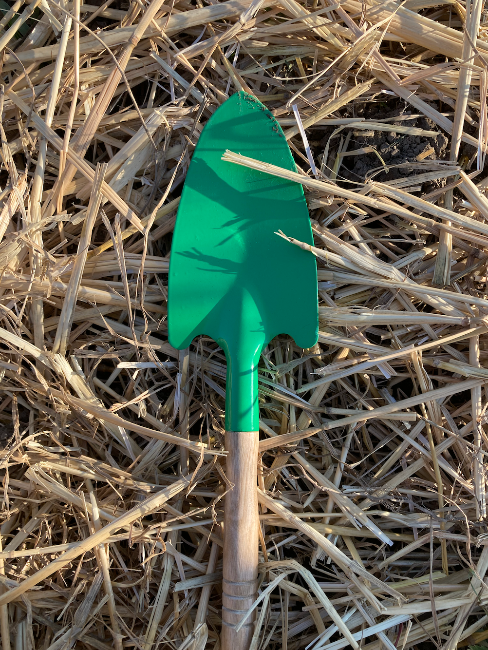 Kleine Schaufel für große Gartenabenteuer 🌱
