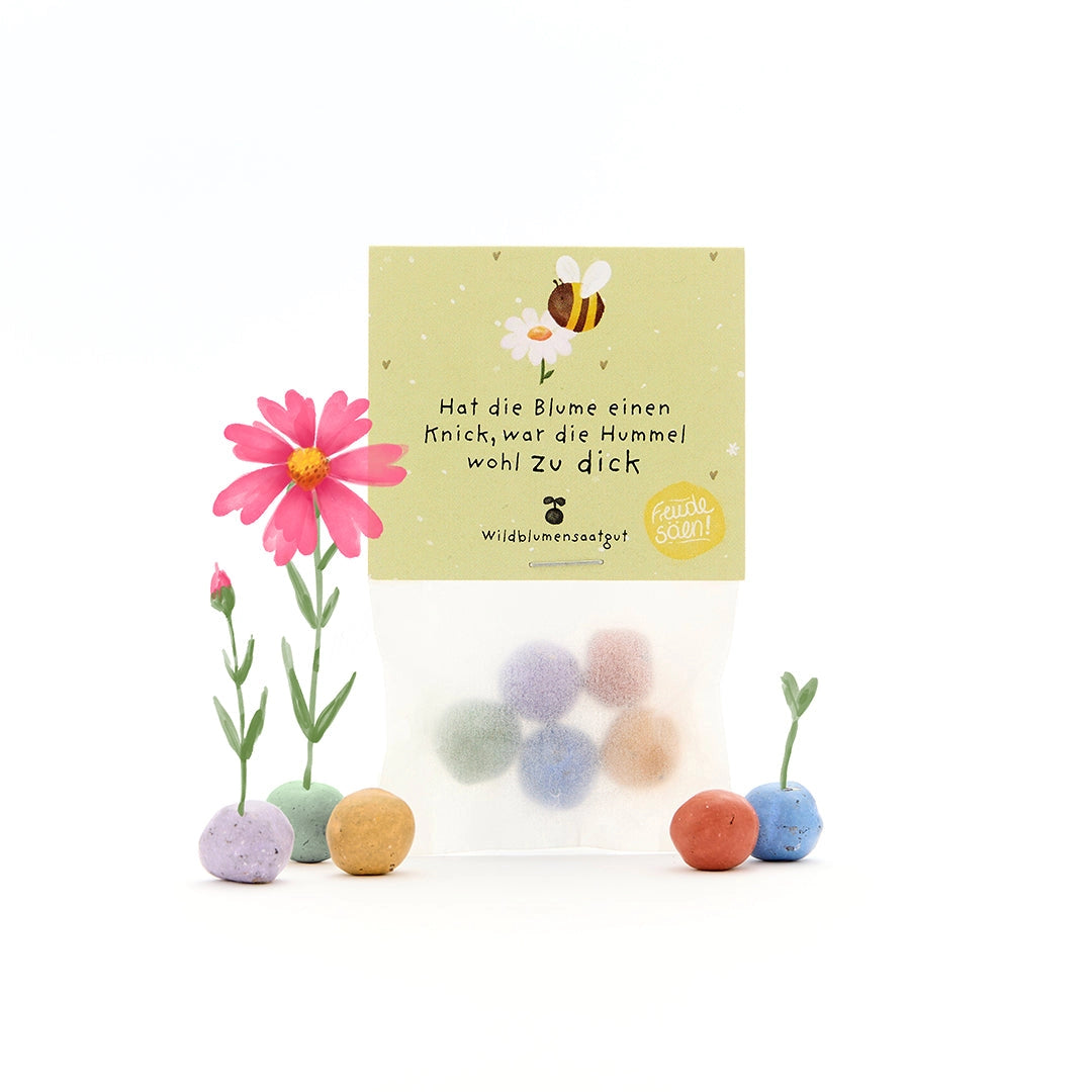 5 Blumenmurmeln „Hat die Blume einen Knick, war die Hummel wohl zu dick“