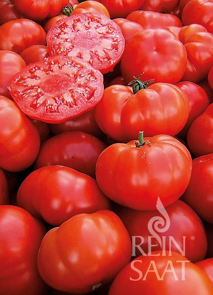 Fleischparadeiser 'Marmande'