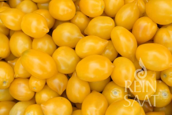 Salatparadeiser 'Citrina'