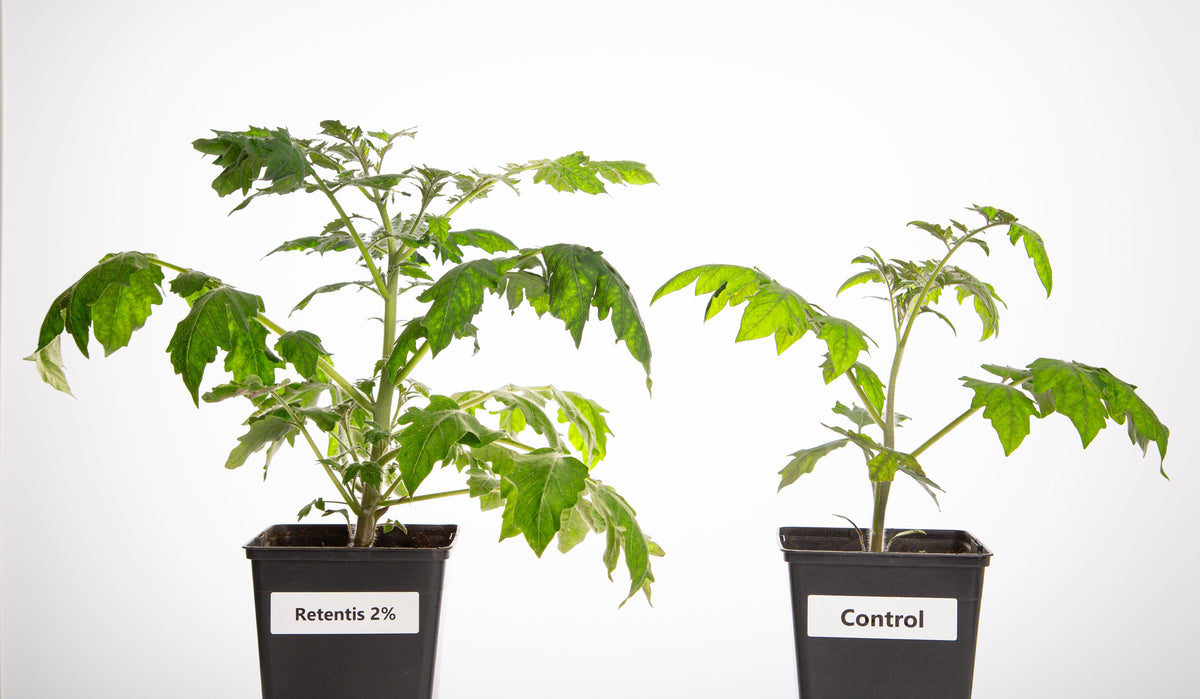 RETENTIS® Wasser- und Nährstoffspeichergranulat 750g - Begleitet Dich und Deine Pflanzen zuverlässig durch trockene Zeiten 💧🌱