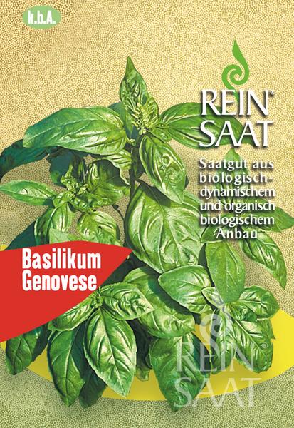 Bio-Saatgut Basilikum 'Genovese'